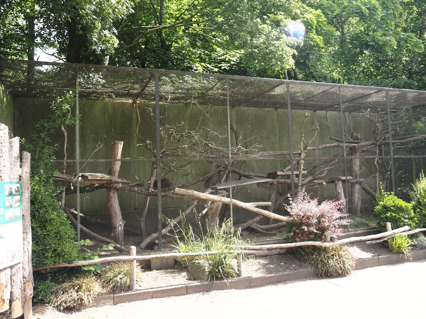Desmarest's hutia exhibit, 2025-05-22