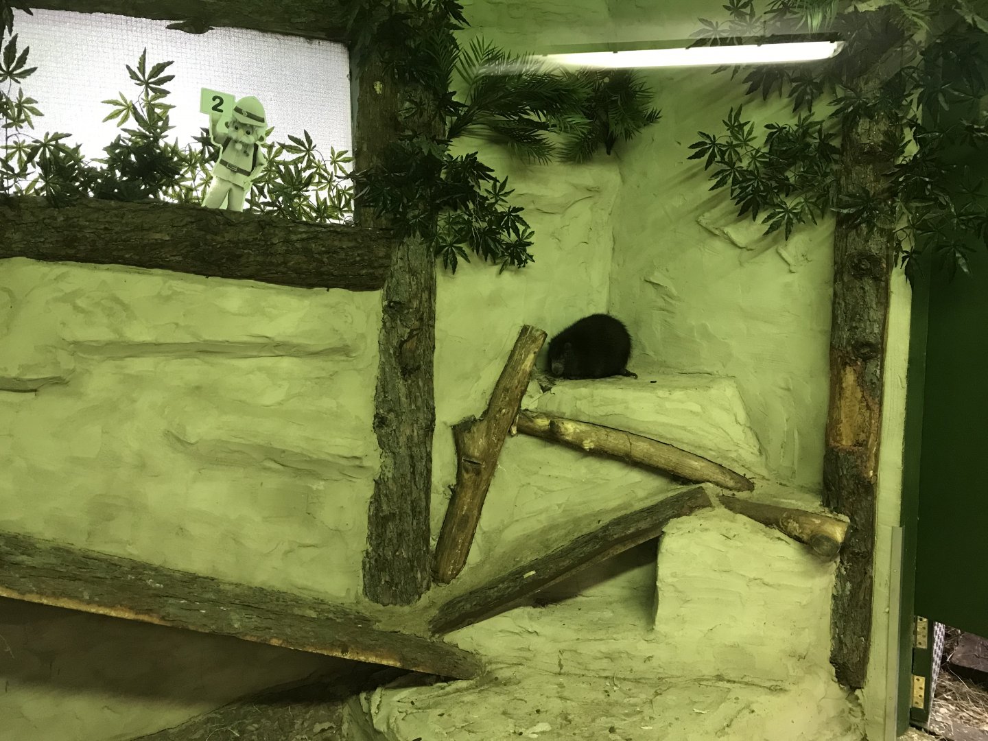 Desmarest's hutia exhibit - indoors 241118
