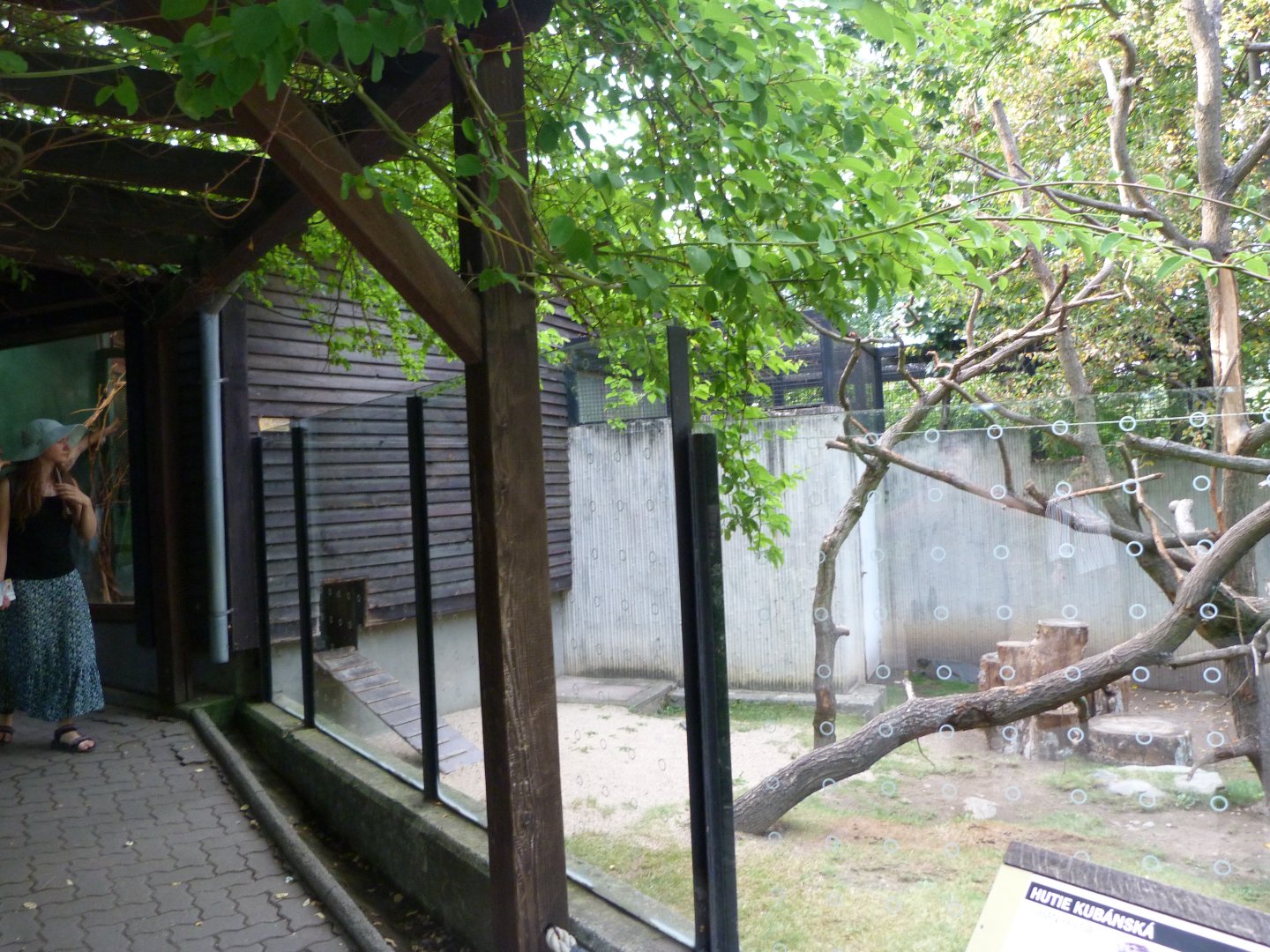 Desmarest's hutia exhibit -Zoo Praha (2025)