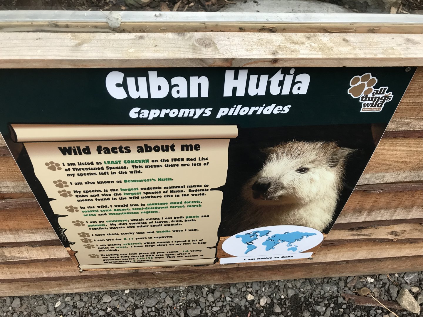 Desmarest's hutia sign 241118