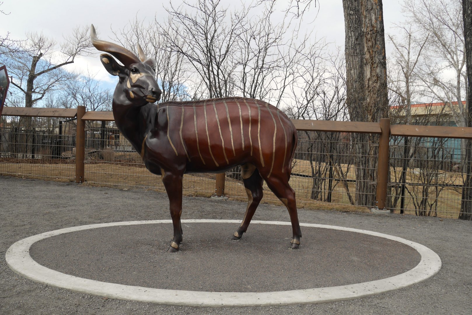 Destination Africa: Bongo Sculpture in the Renovated African Plains Exhibit