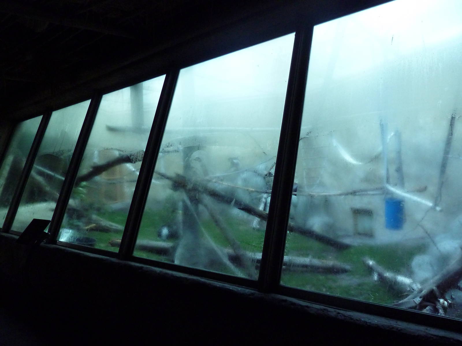 Destination Africa - Colobus Monkey Exhibit (with steamy windows)