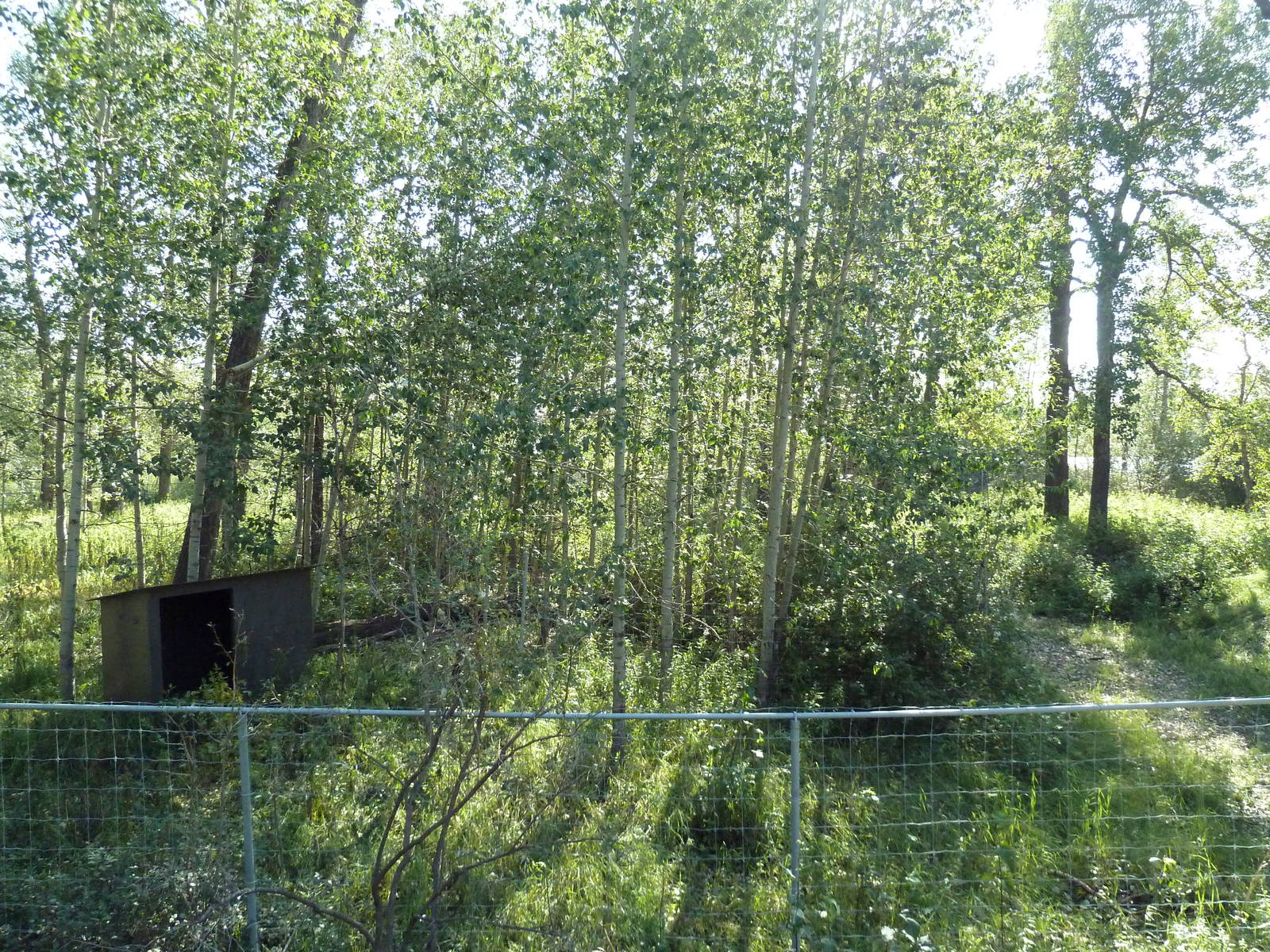 Destination Africa - Empty Exhibit (ex-bongo yard)