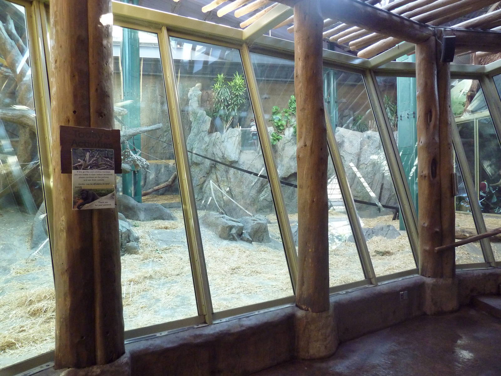 Destination Africa - Gorilla Exhibit