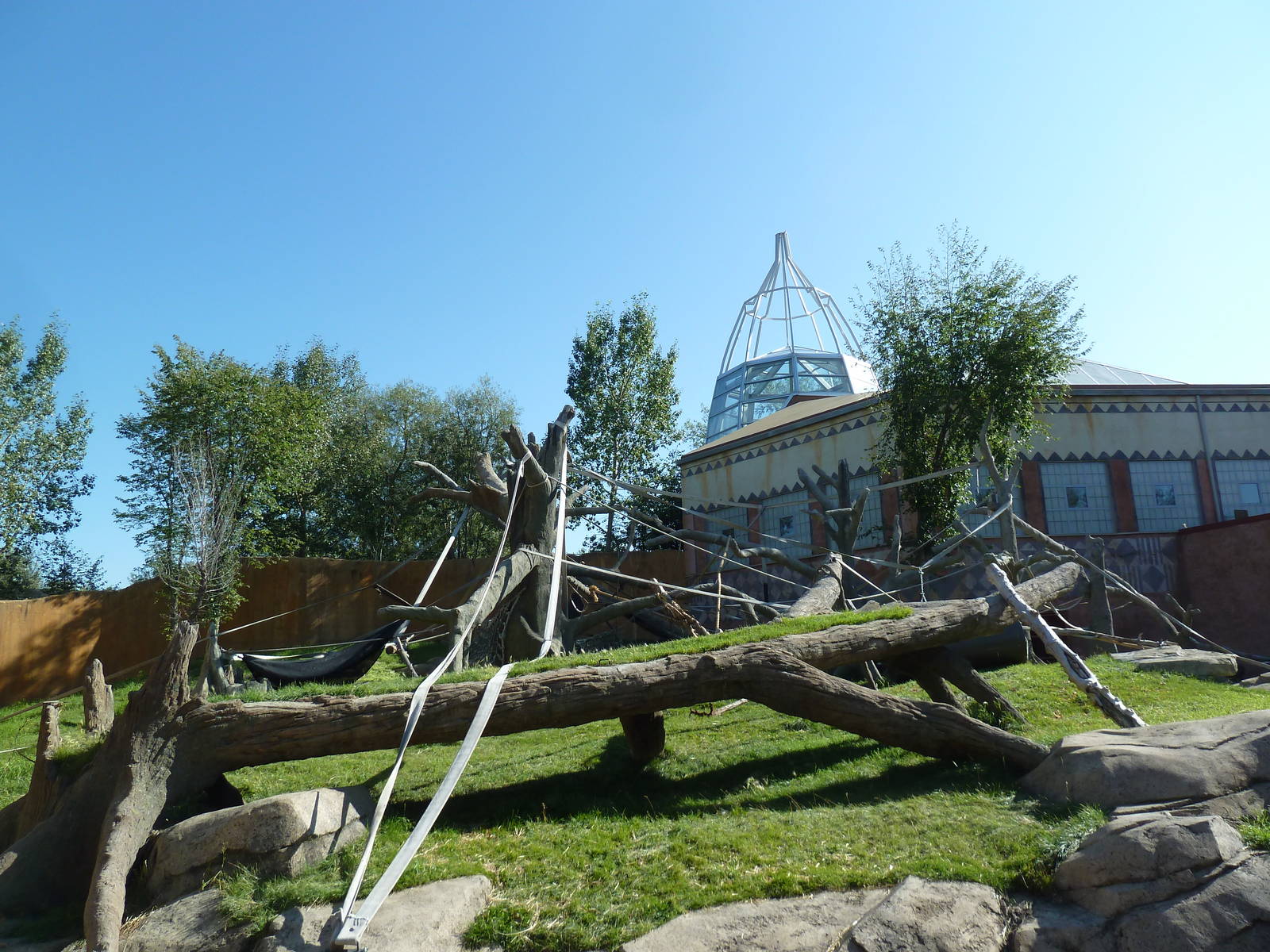 Destination Africa - Gorilla Exhibit