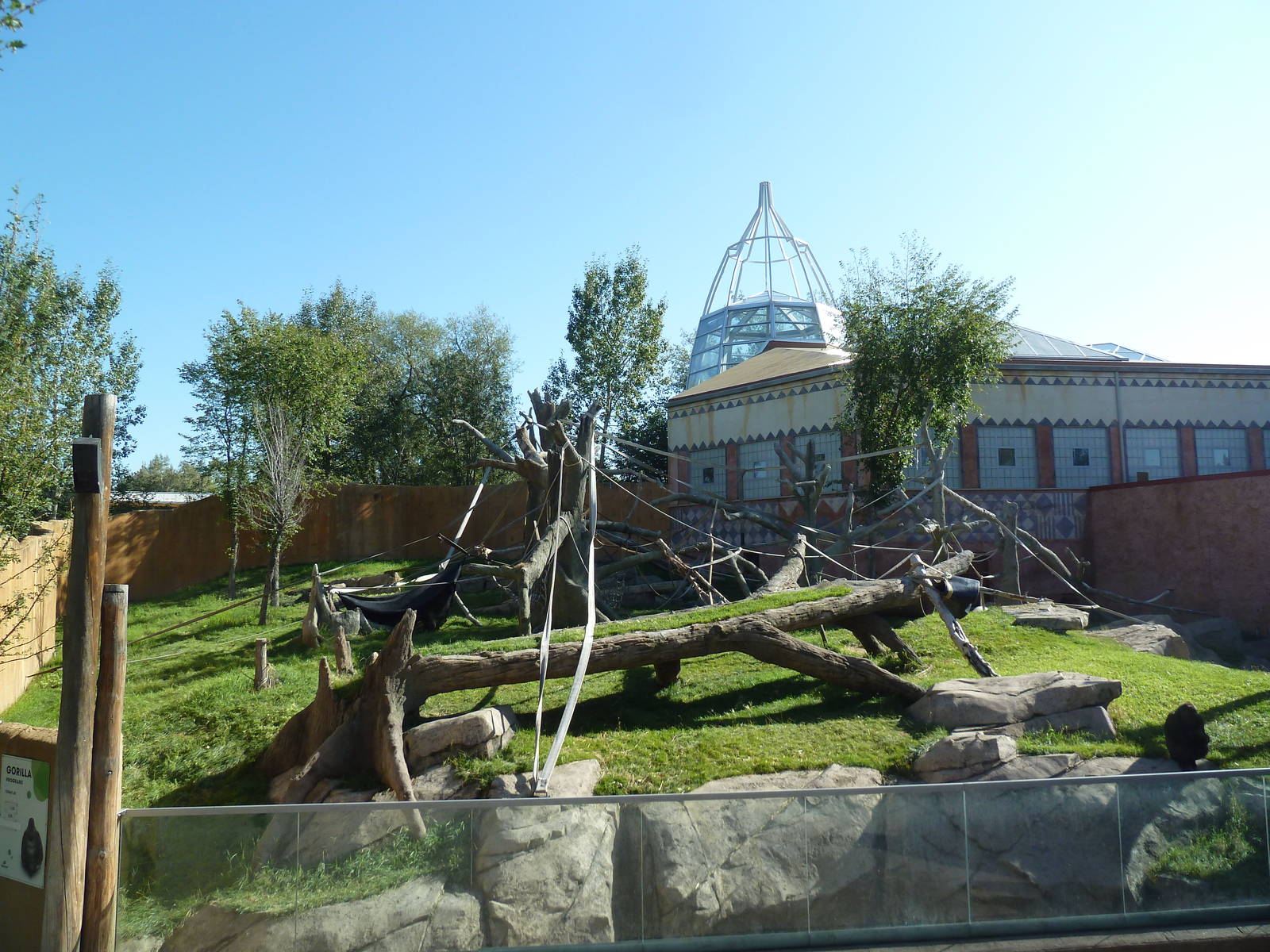 Destination Africa - Gorilla Outdoor Exhibit