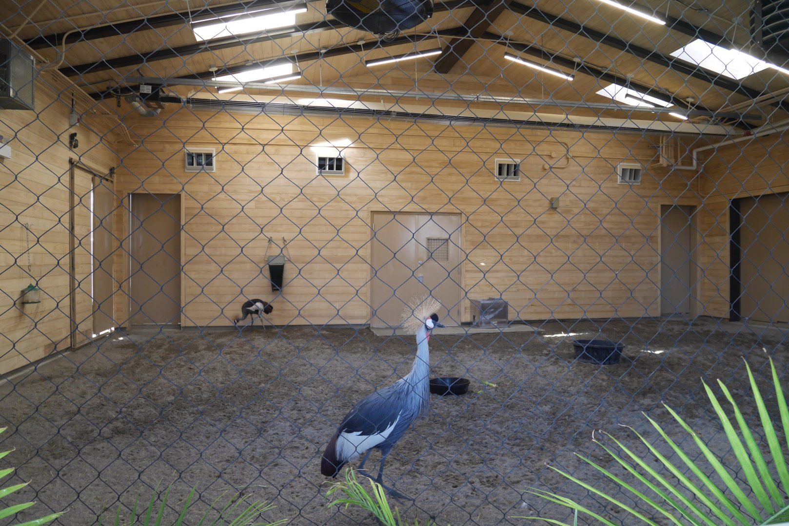 Destination Africa: Inside the New Savannah Crossing