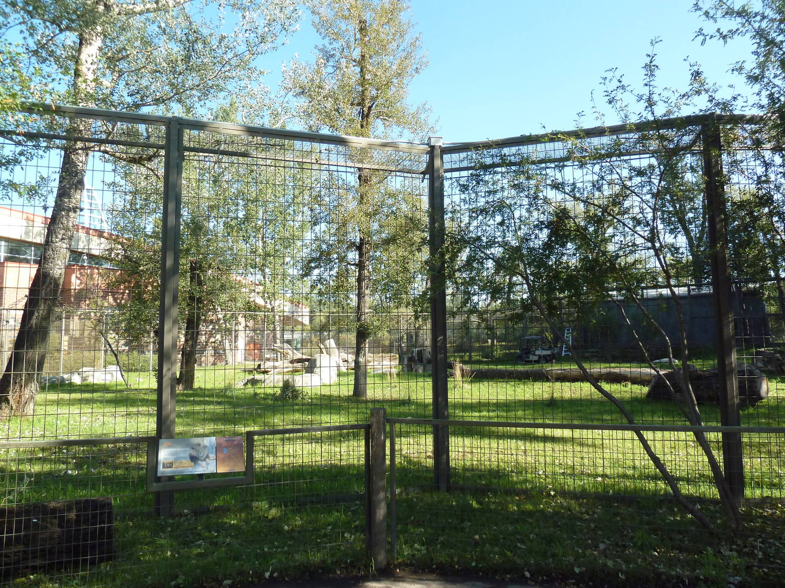 Destination Africa - Lion Exhibit