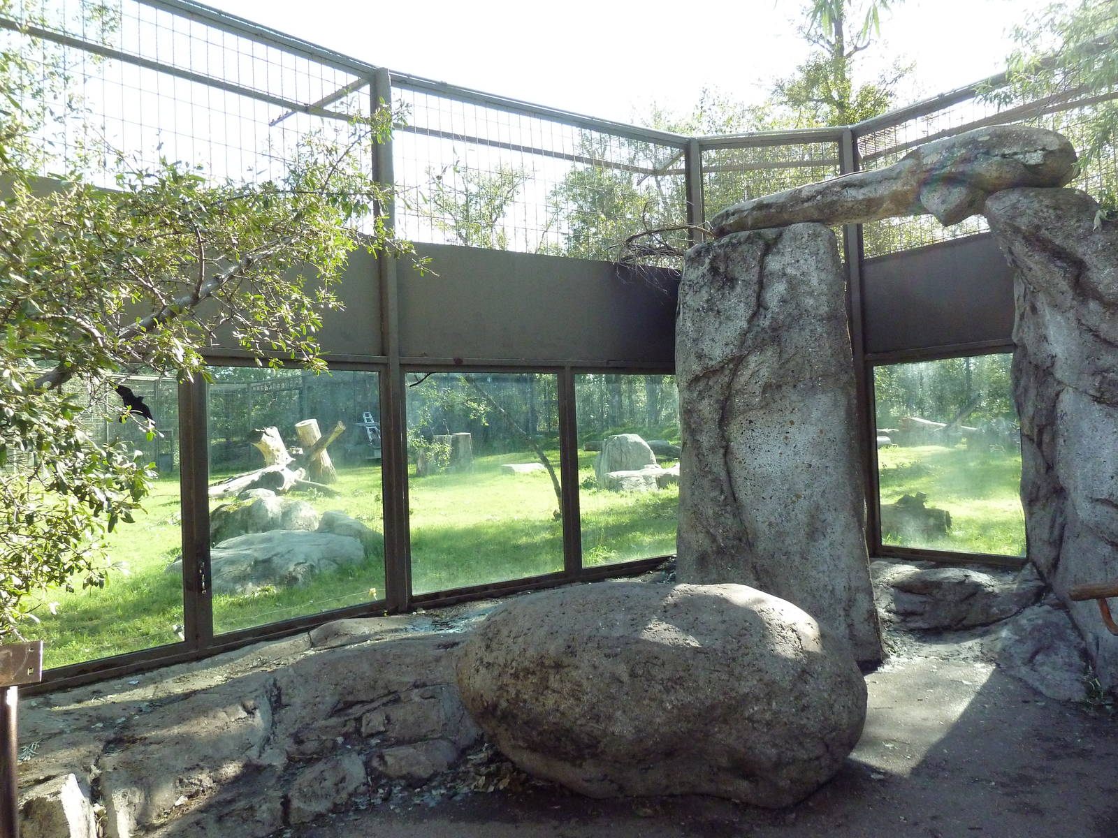 Destination Africa - Lion Exhibit