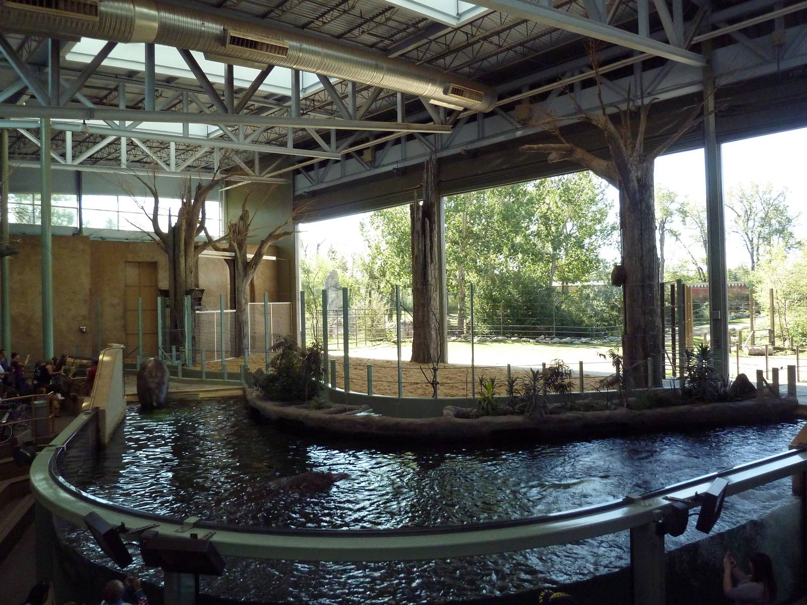 Destination Africa - Nile Hippo + Giraffe Exhibits