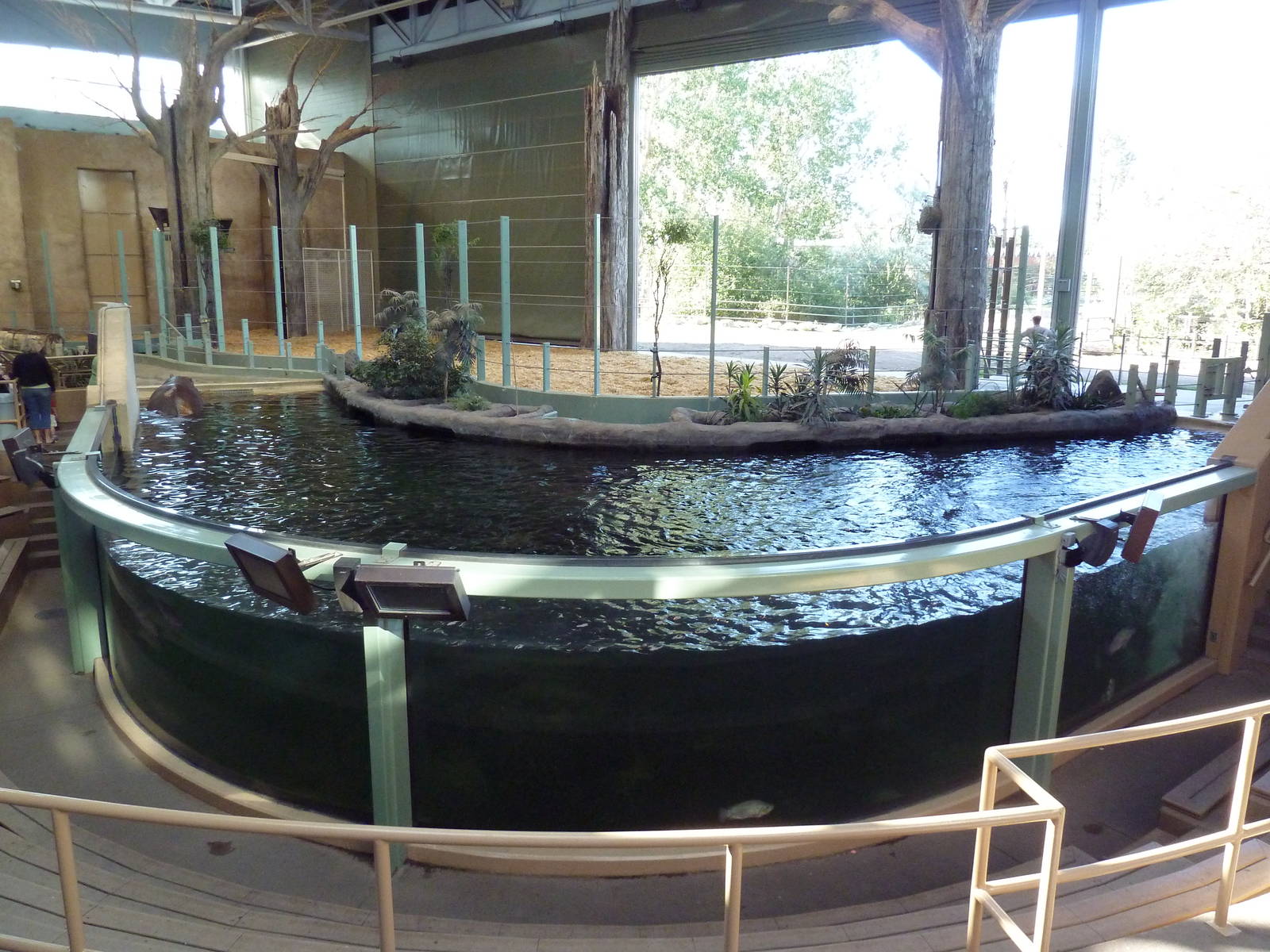 Destination Africa - Nile Hippo + Giraffe Exhibits