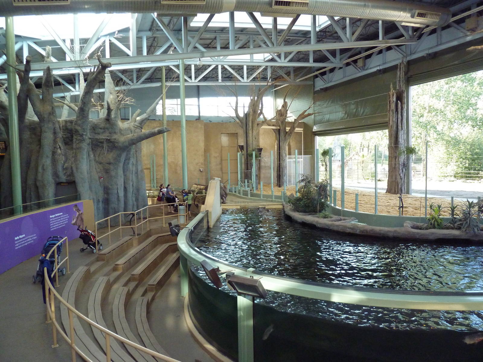 Destination Africa - Nile Hippo + Giraffe Exhibits