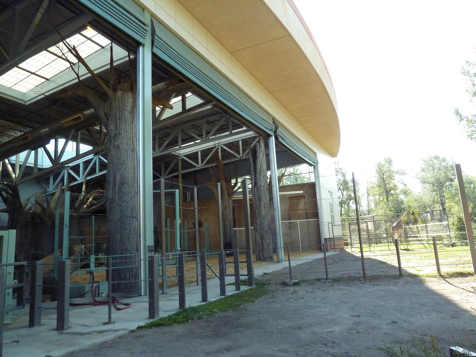 Destination Africa - Nile Hippo + Giraffe Exhibits