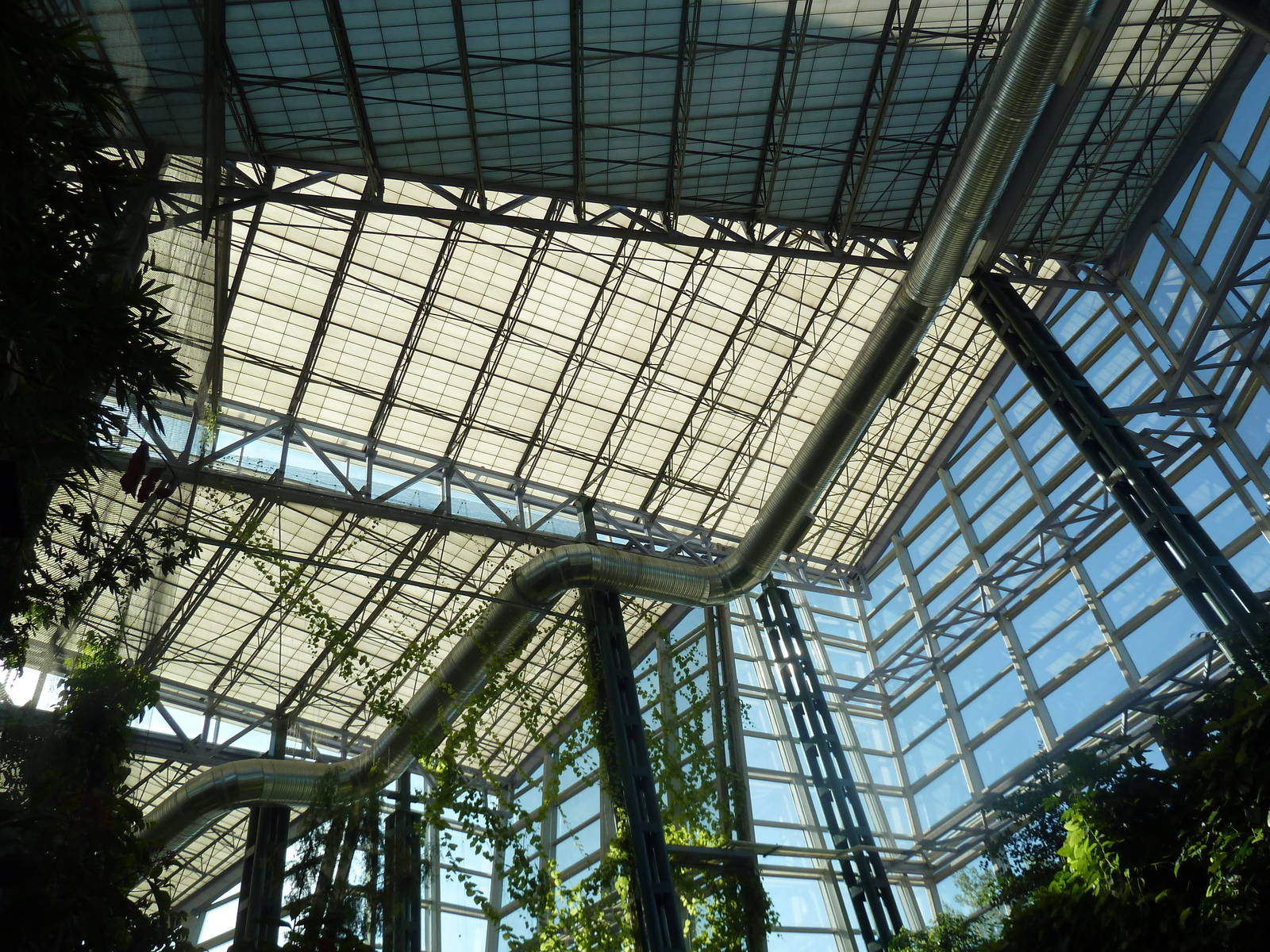 Destination Africa - Rainforest Roof