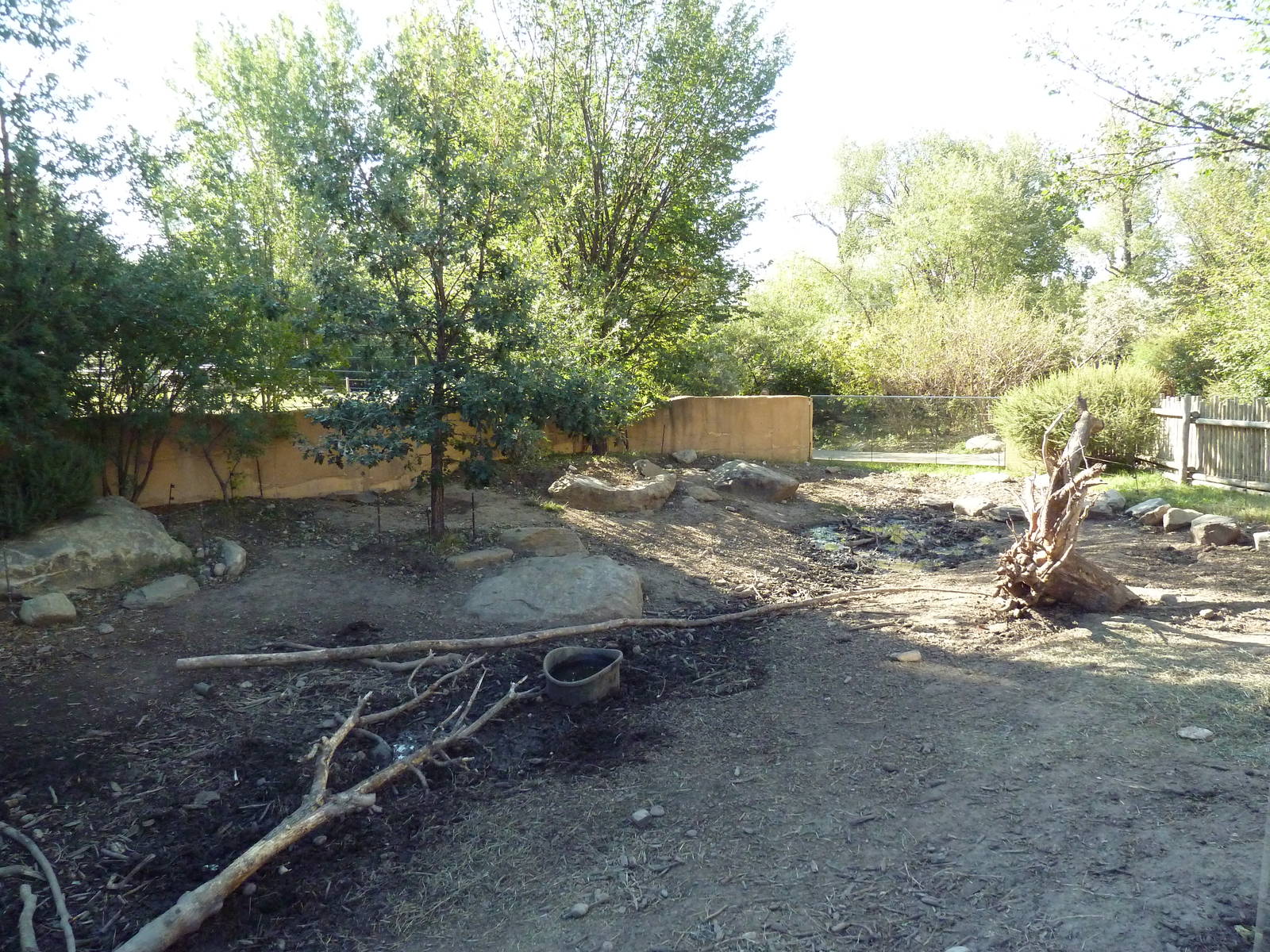 Destination Africa - Red River Hog Exhibit