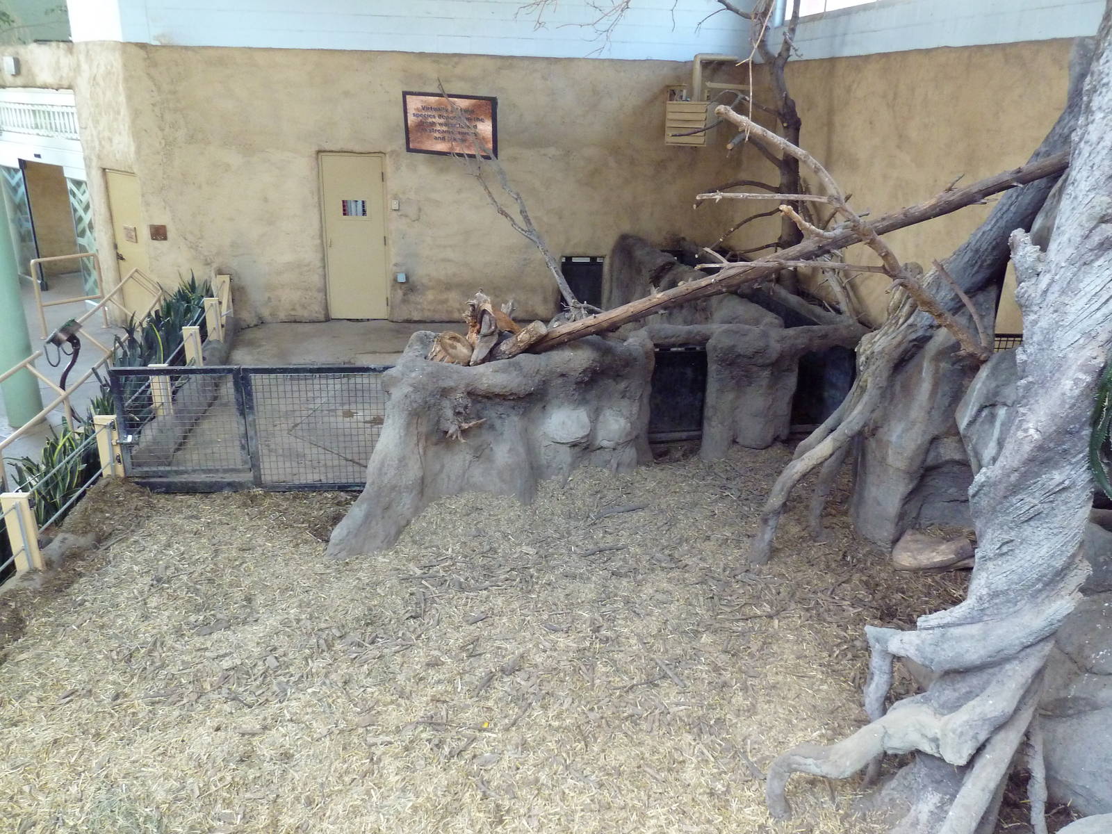 Destination Africa - Red River Hog Indoor Exhibit