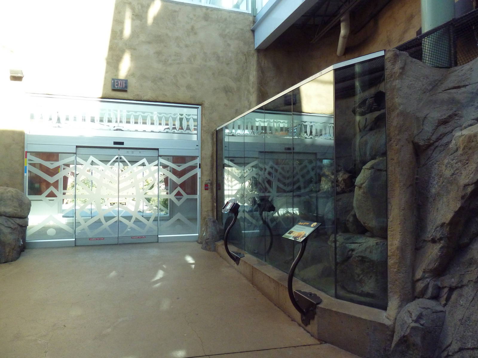 Destination Africa - Rock Hyrax Exhibit