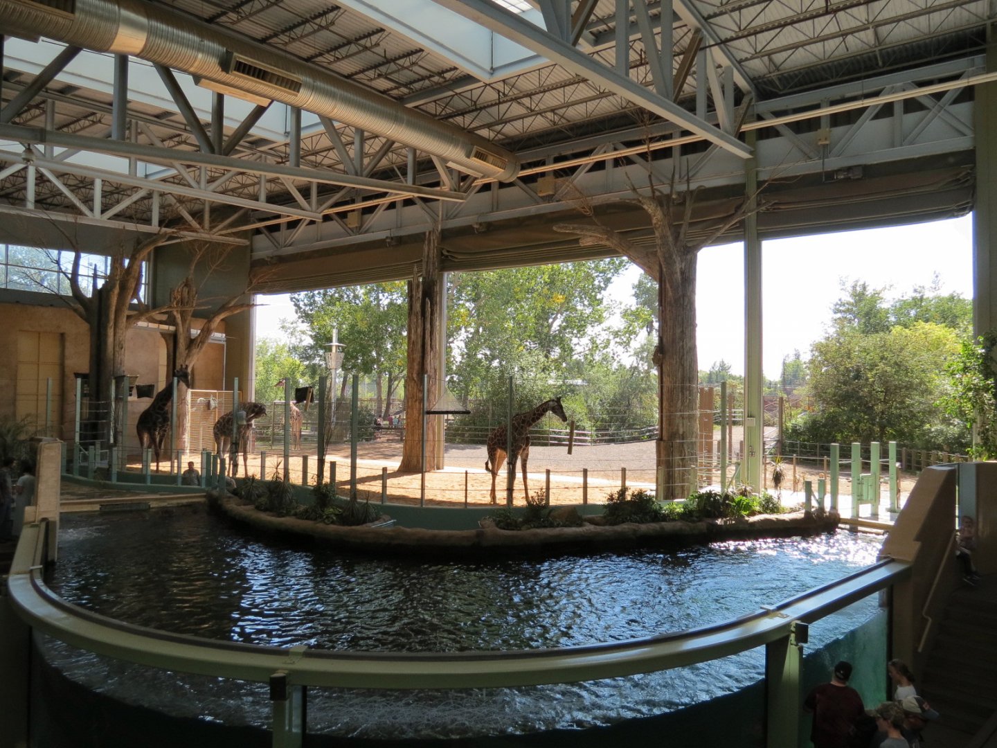 Destination Africa - Savanna Building Interior