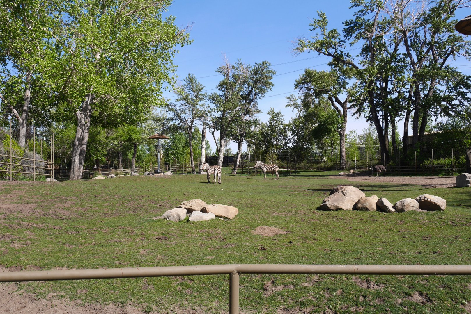 Destination Africa Savannah Yard from Amphitheater (Summer 2024)