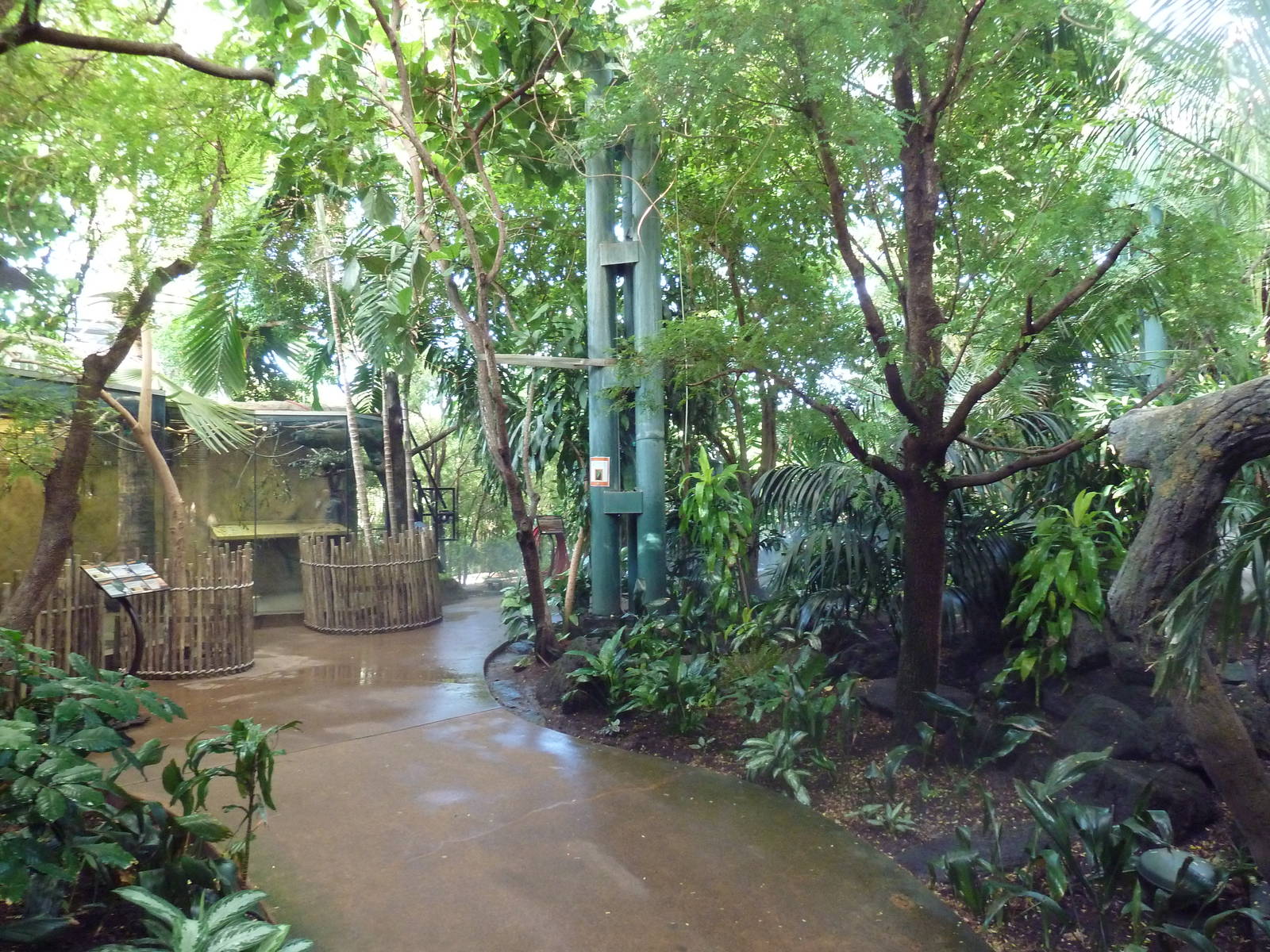 Destination Africa - Visitor Walkway