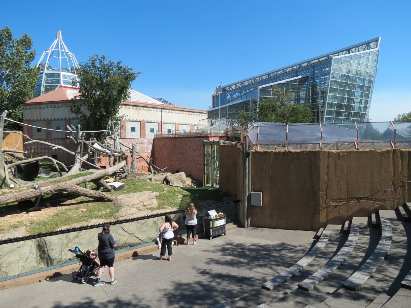 Destination Africa - Western Lowland Gorilla Exhibit