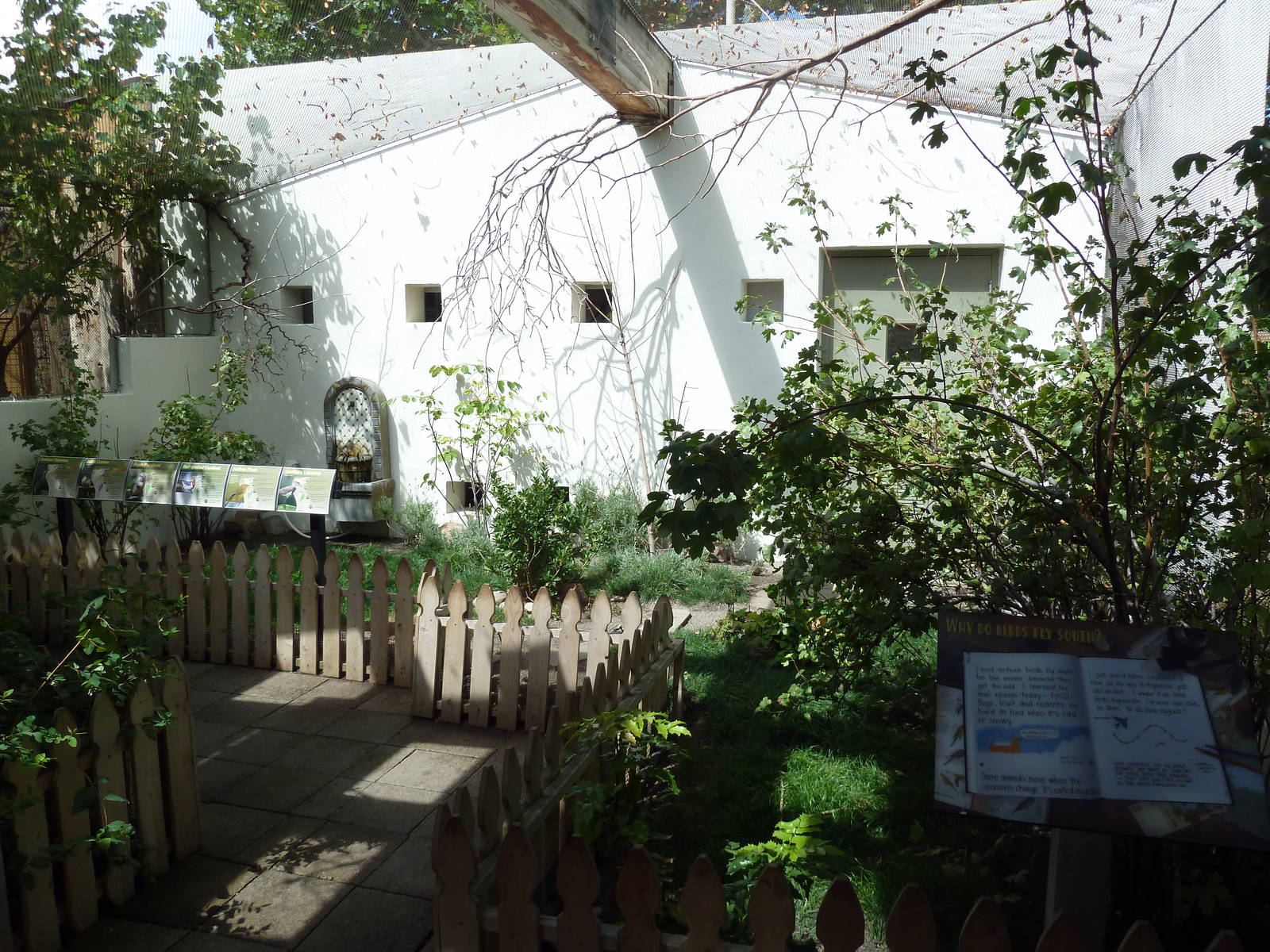 Destination Argentina Walk-Through Aviary (6 Species)