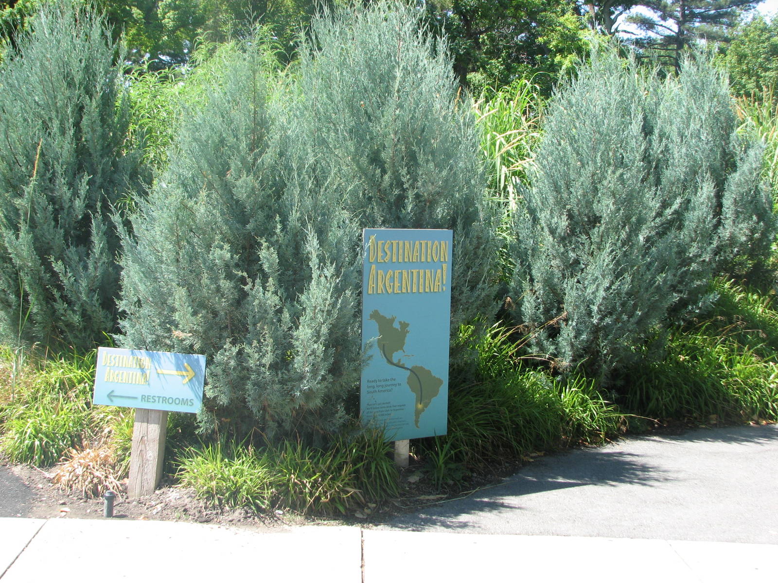 Destination Argentina