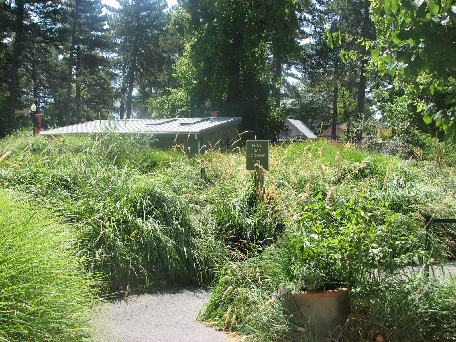 Destination Argentina