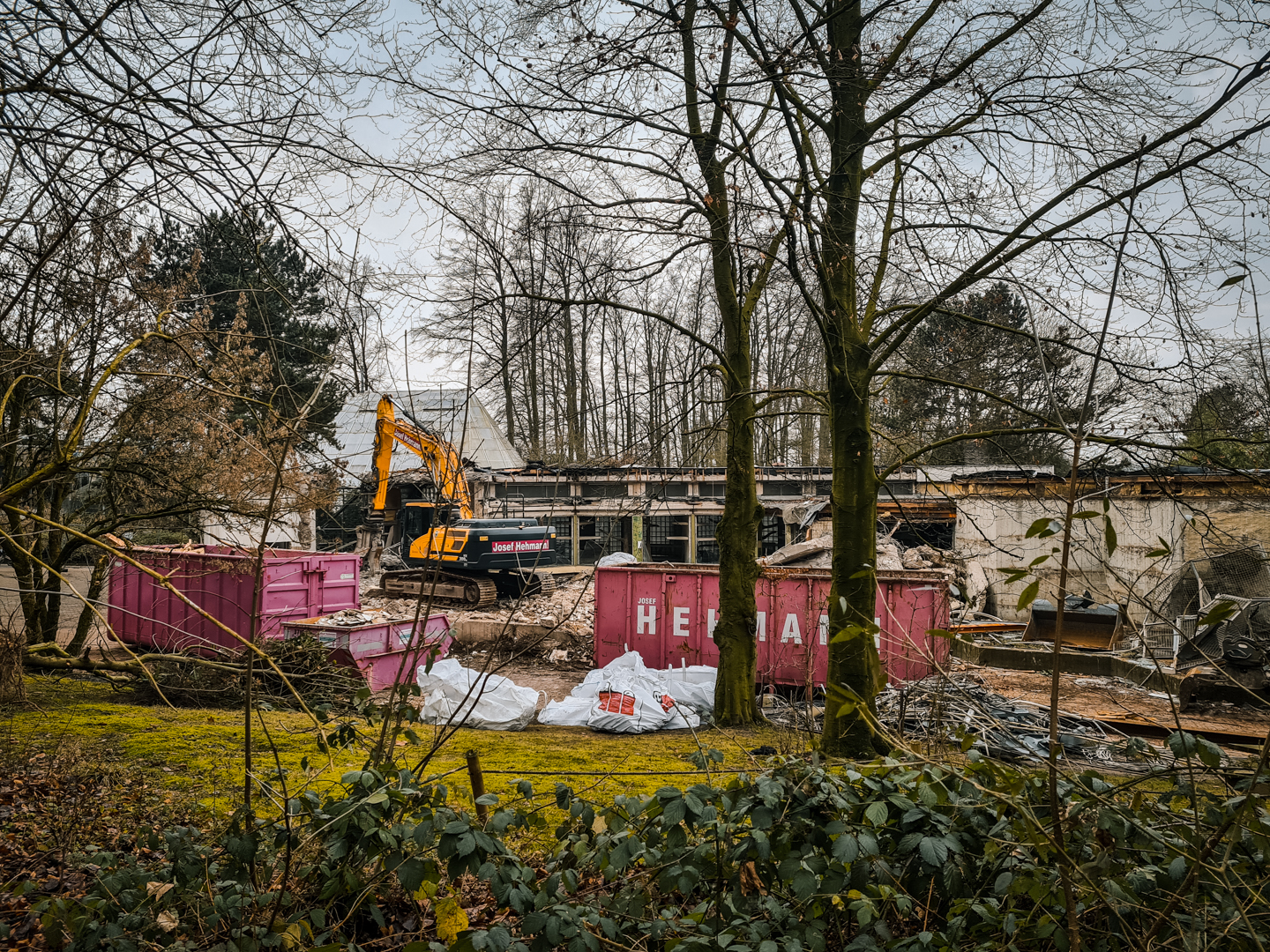 Destruction of the old monkey house