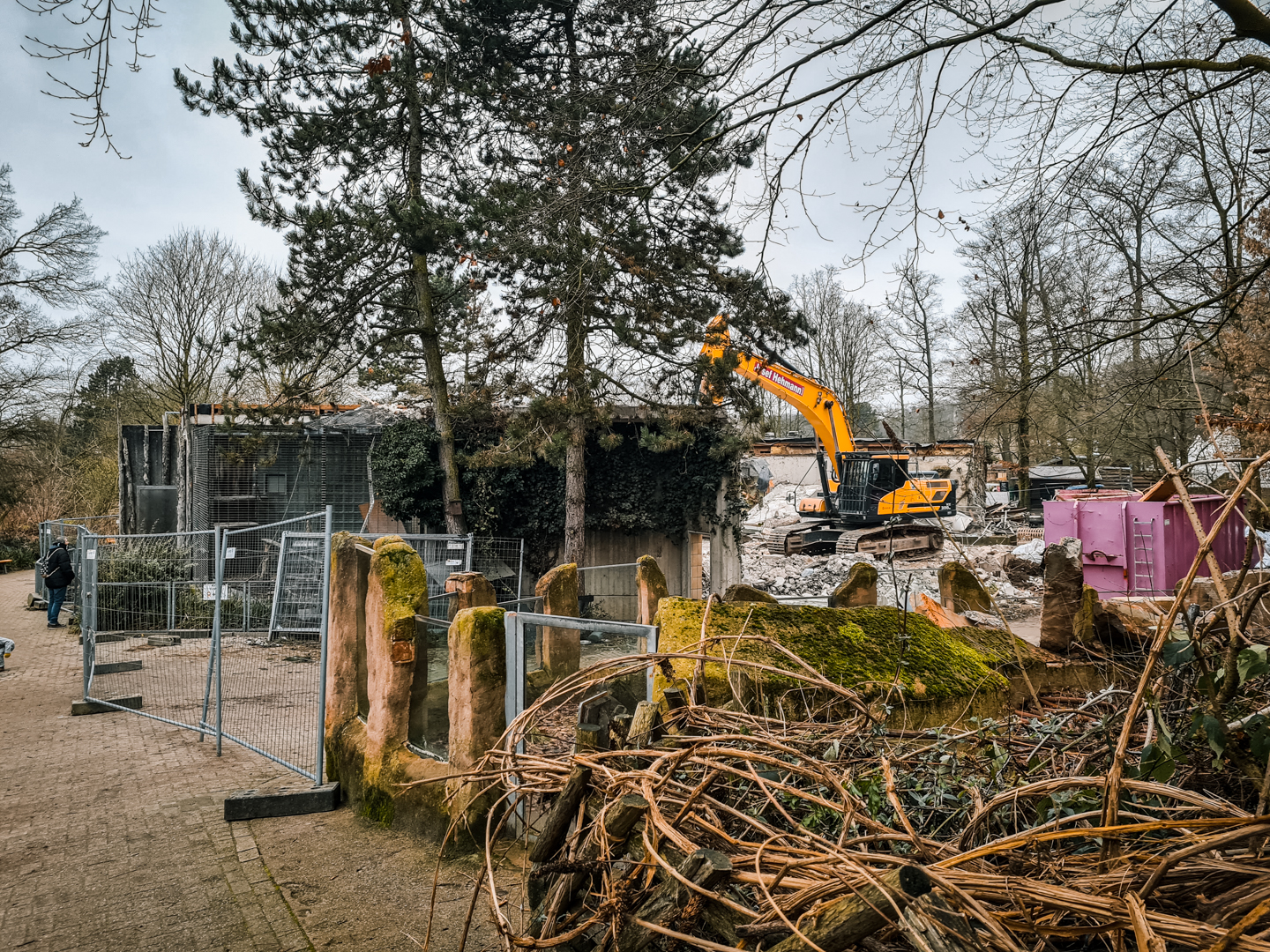 Destruction of the old monkey house
