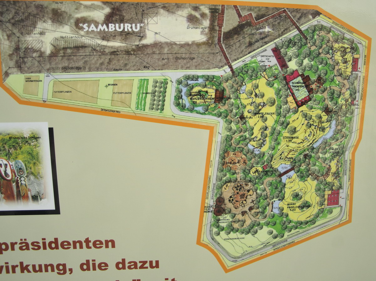 Detail-plan of the new zoopart Takamanda at osnabrück zoo at osnabrück zoo