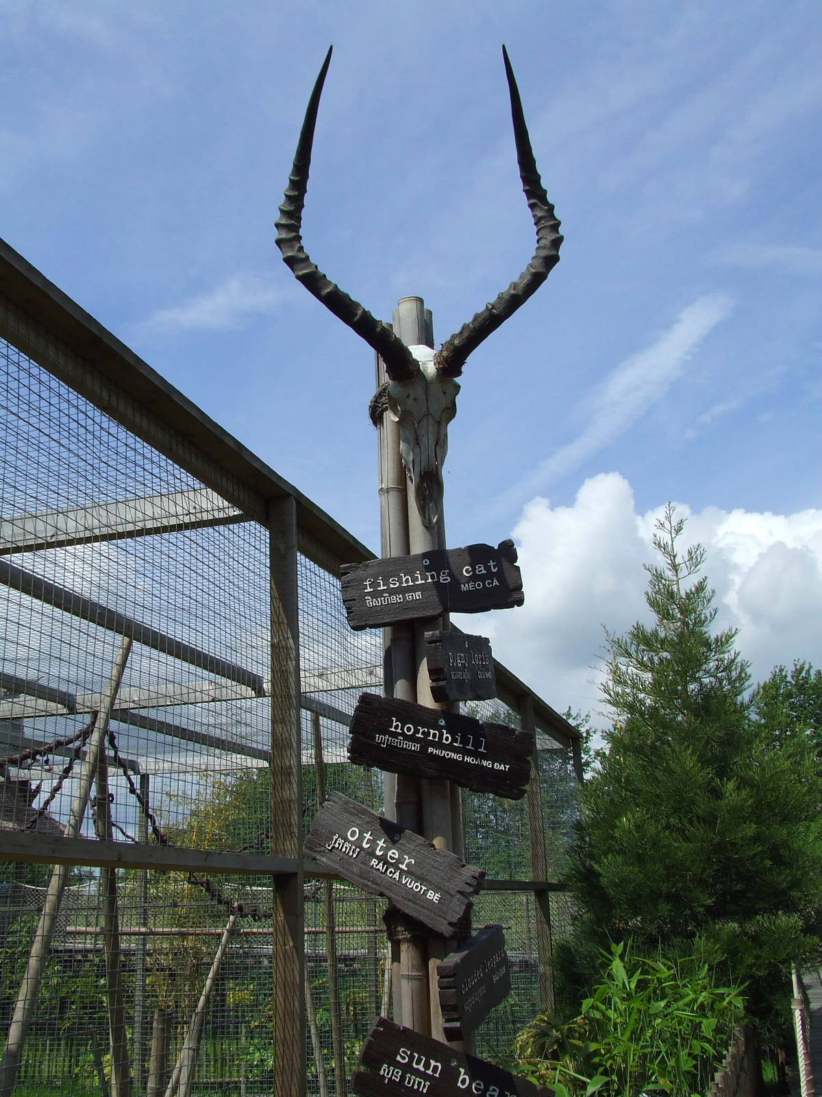 Detail, Rare Species Conservation Centre, Sandwich