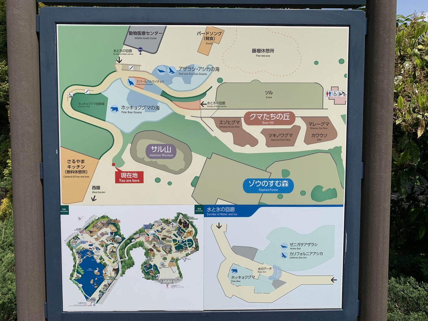 Detailed Map of Bear and Seal Area