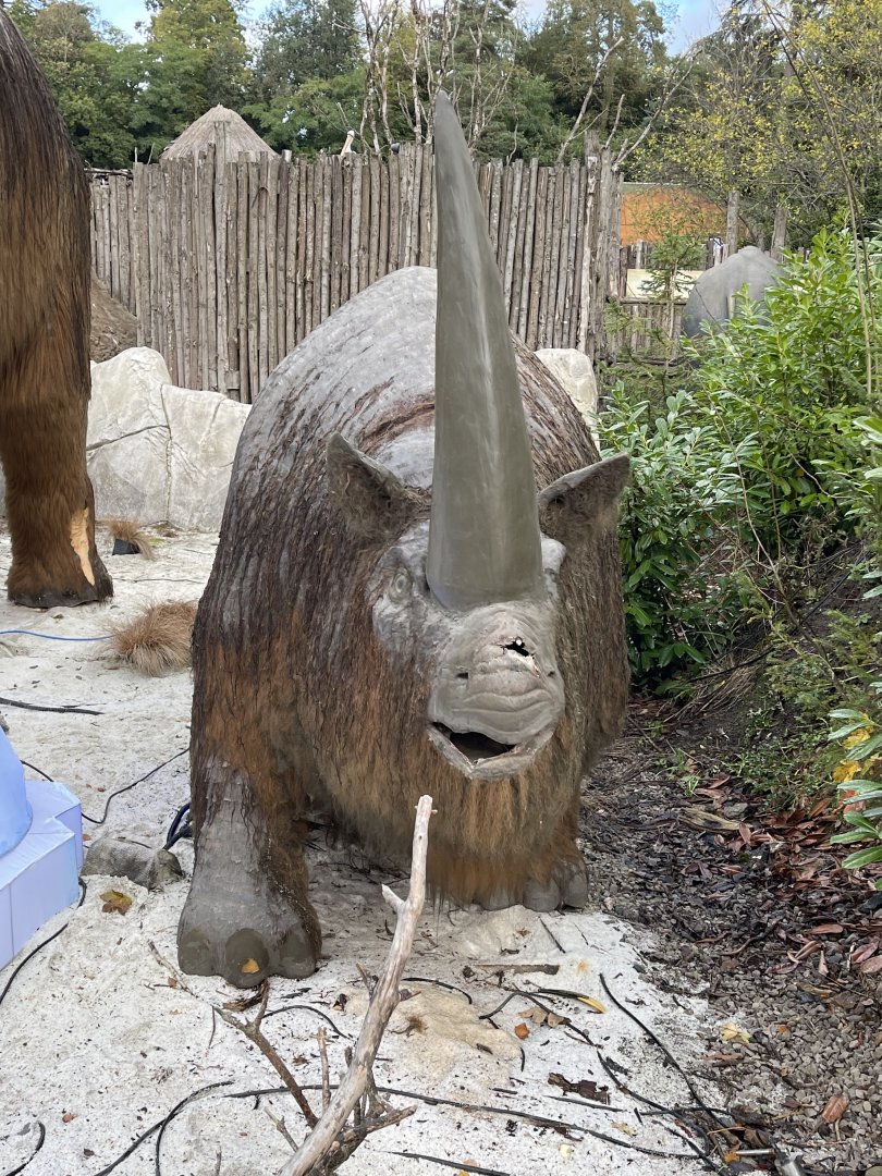 Deteriorating woolly rhino