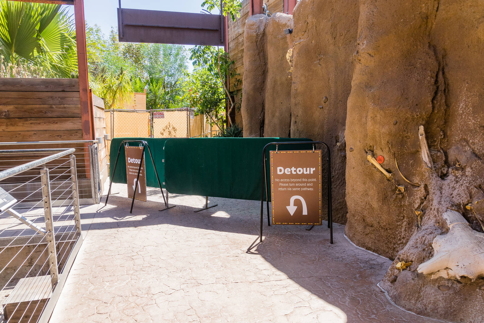 Detour in Elephant Odysesy