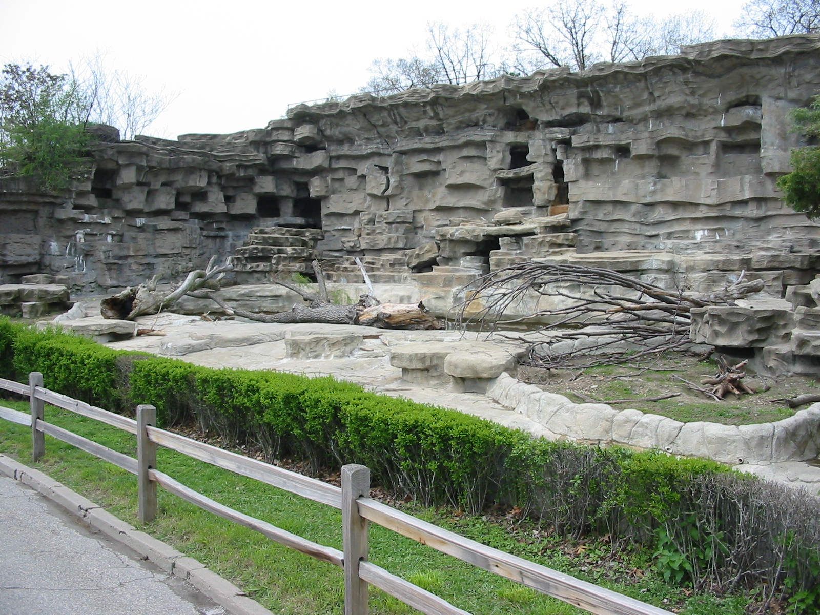 Detroit Zoo 2003 - American Black Bear grotto