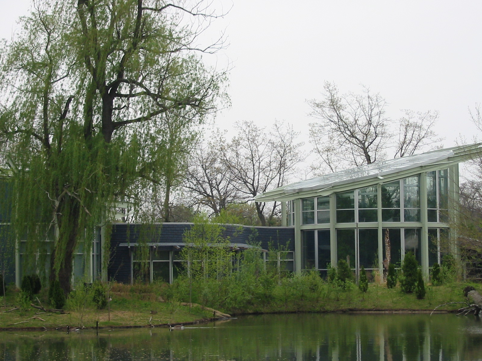 Detroit Zoo 2003 - Amphibiville for Amphibians