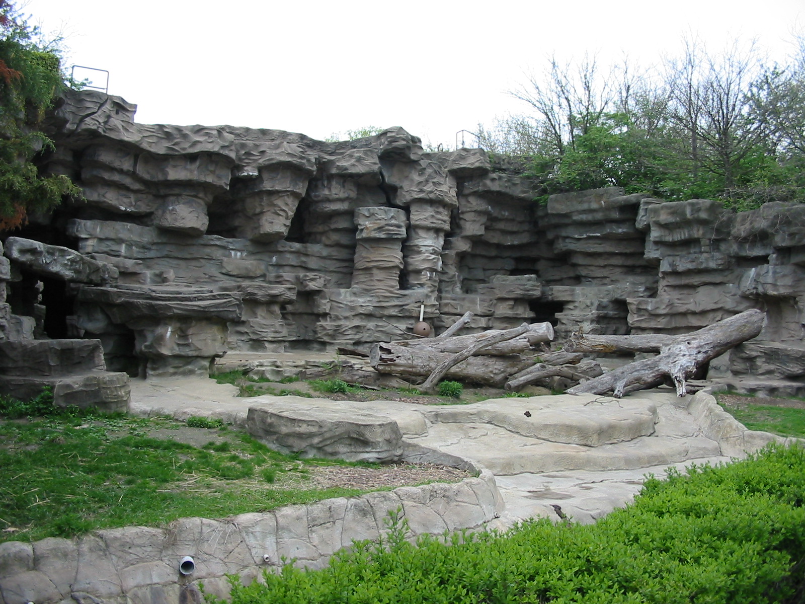 Detroit Zoo 2003 - Bear grotto