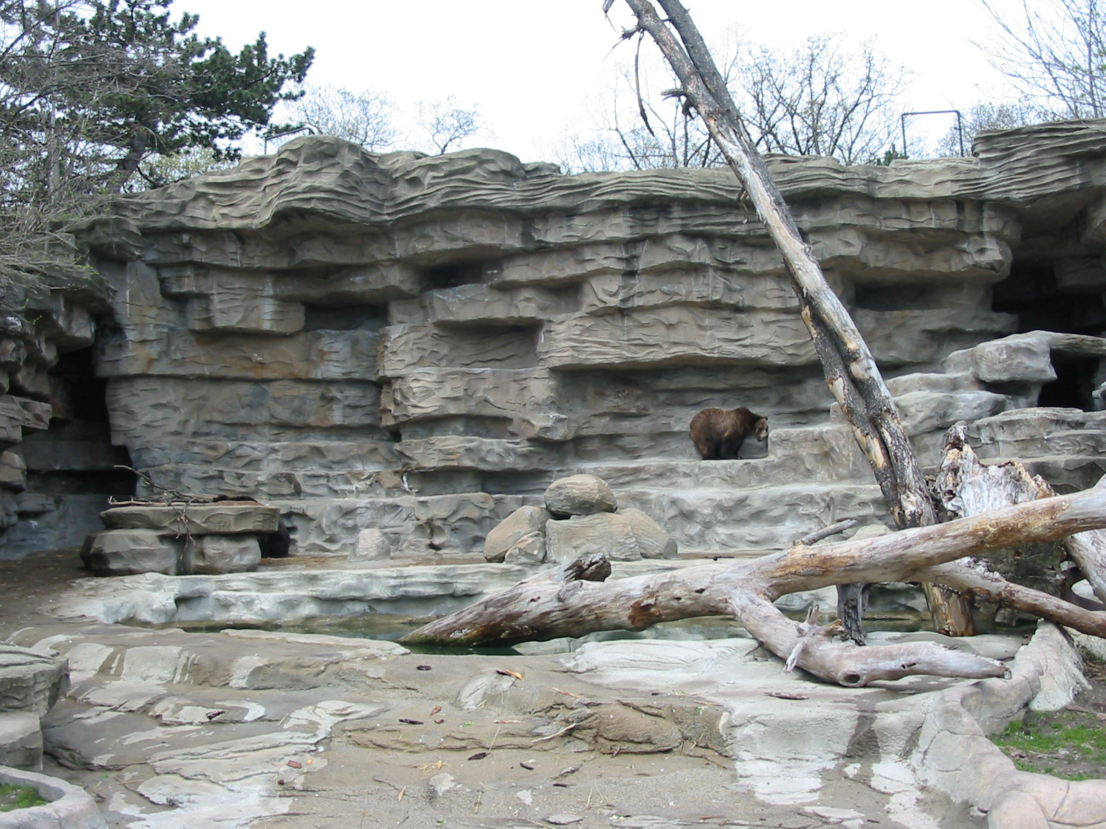 Detroit Zoo 2003 - Brown Bear grotto