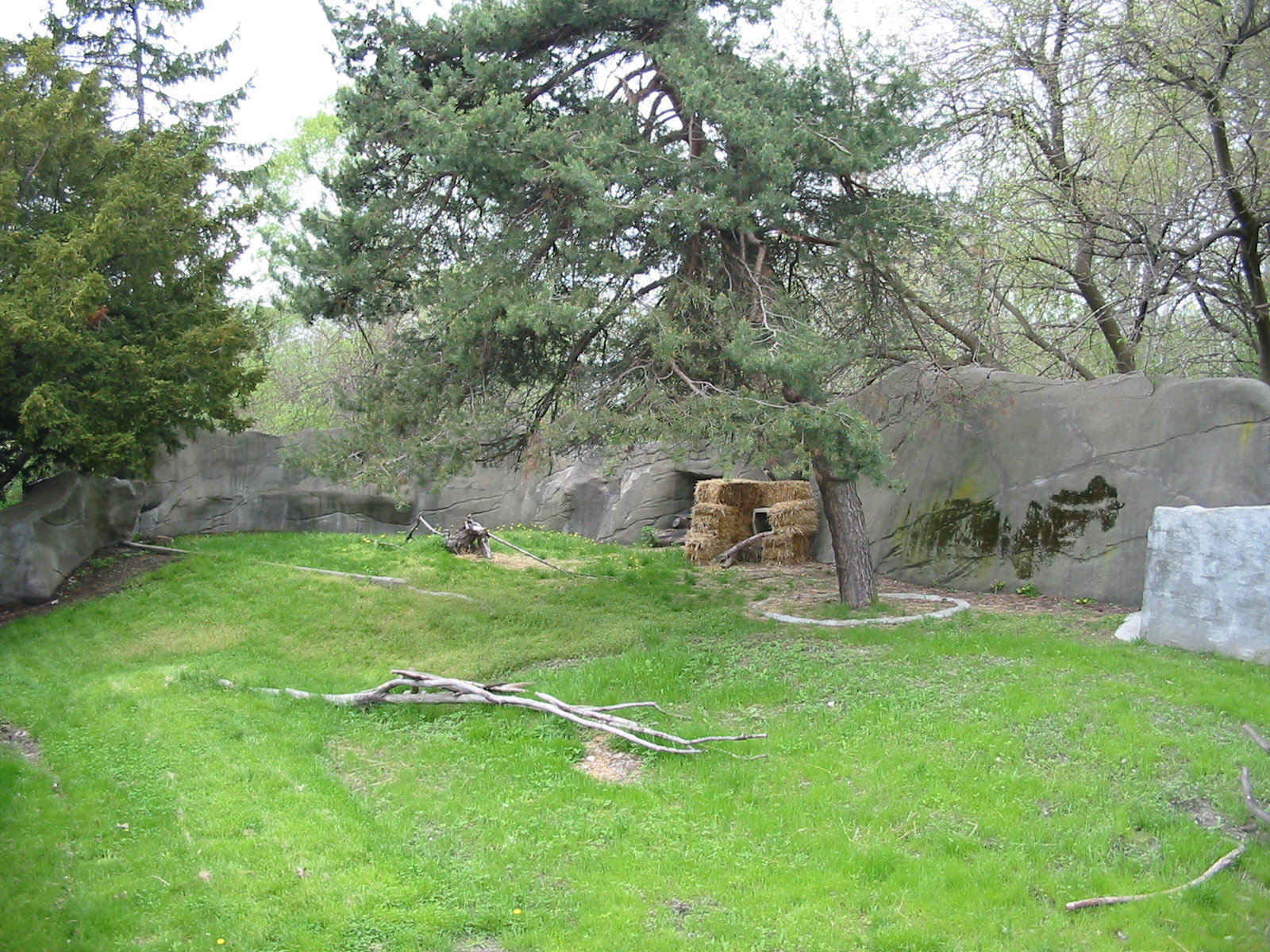 Detroit Zoo 2003 - Exhibit used for rehab Bird of Prey