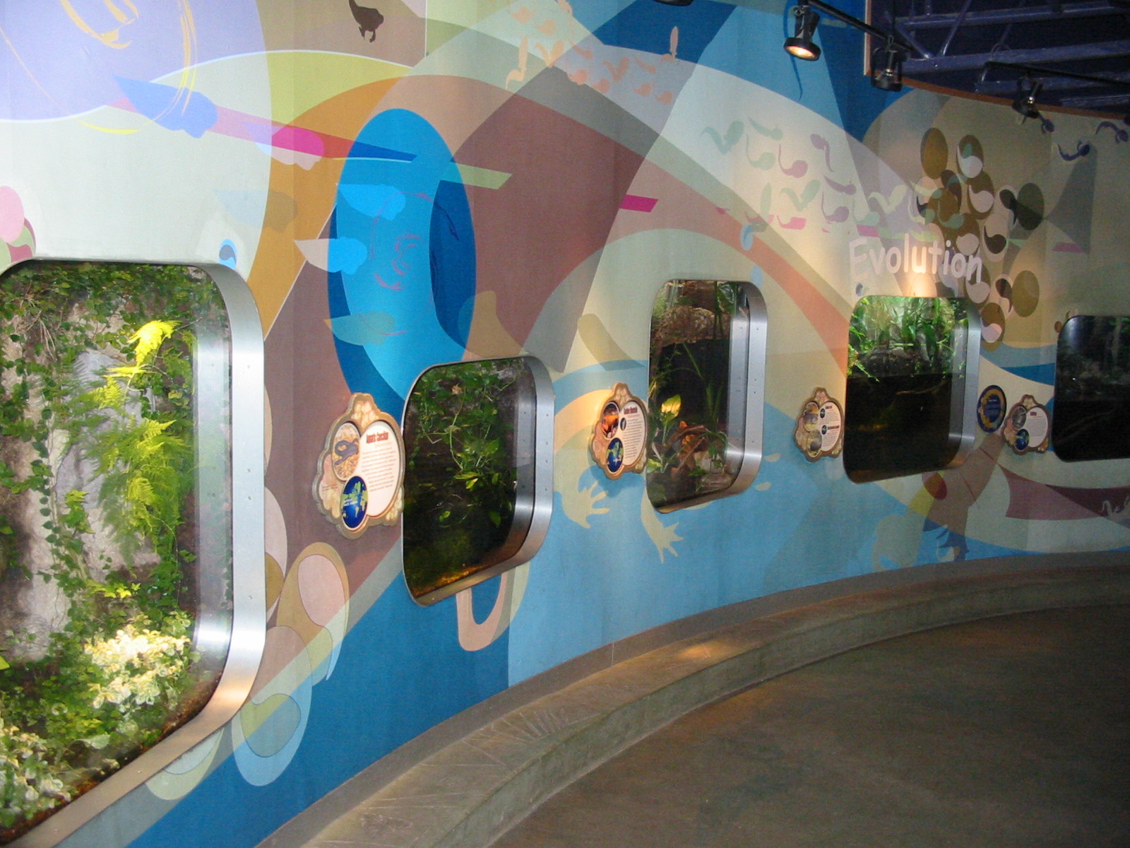 Detroit Zoo 2003 - Inside the Amphibiville