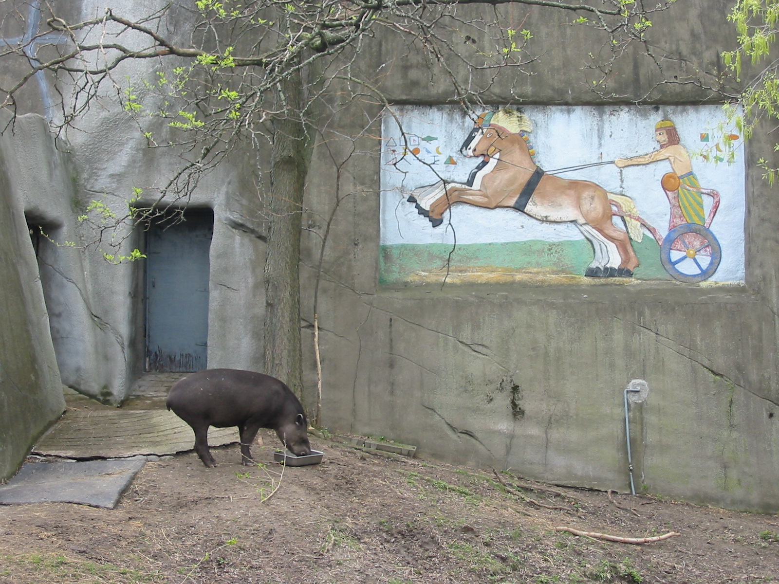 Detroit Zoo 2003 - Part of the Brazilian Tapir exhibit