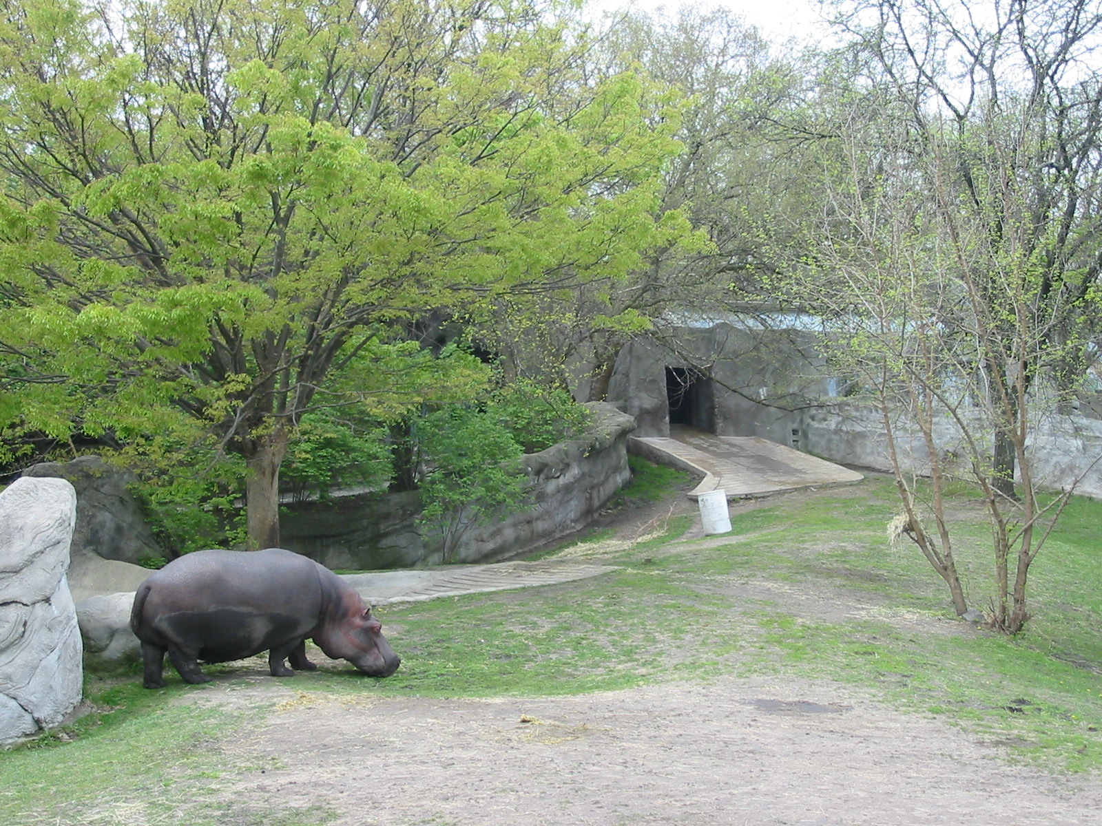 Detroit Zoo 2003 - Part of the Hippopotamus exhibit