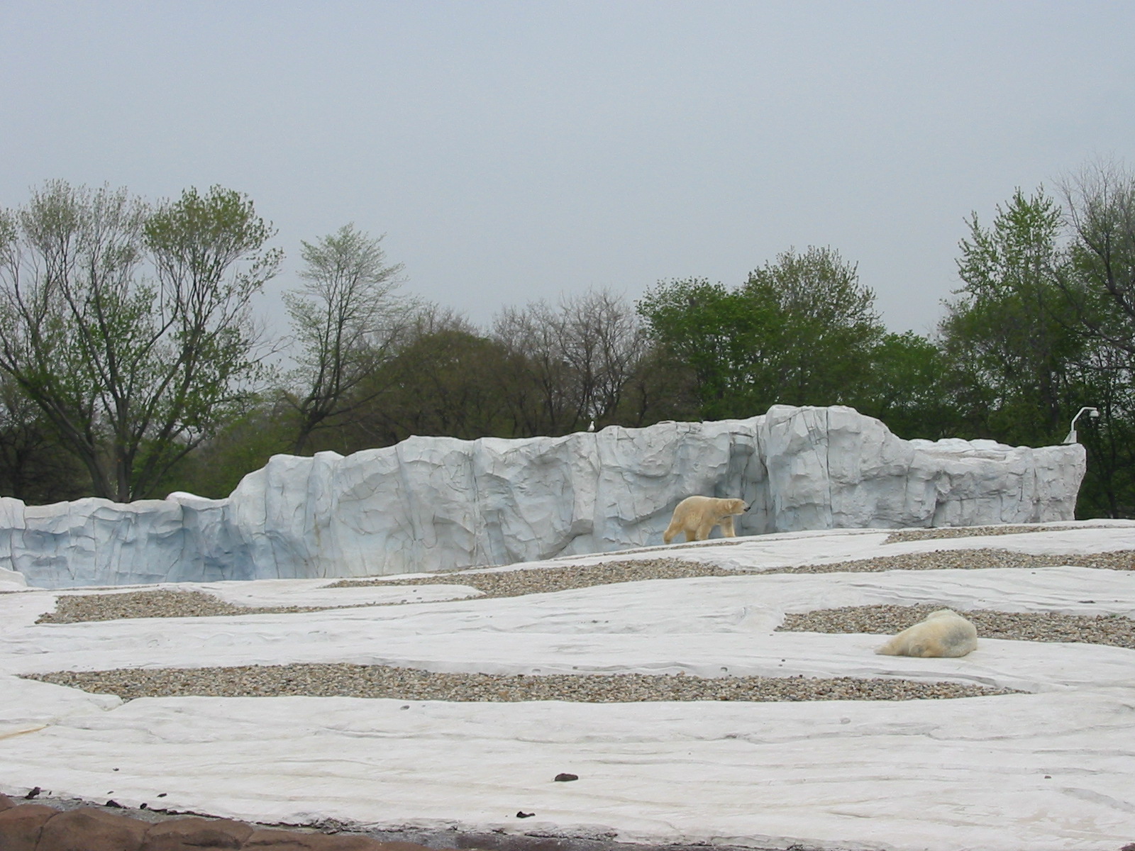 Detroit Zoo 2003 - Part of the Polar Bear exhibit in the Artic Ring of Life