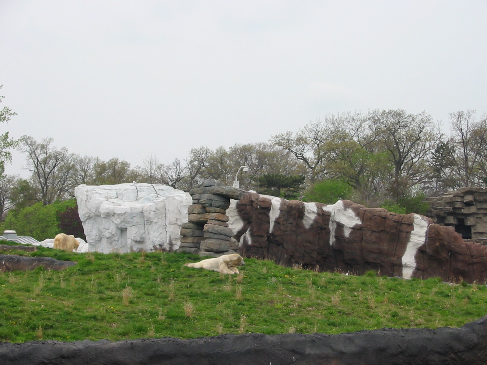 Detroit Zoo 2003 - Part of the Polar Bear exhibit in the Artic Ring of Life
