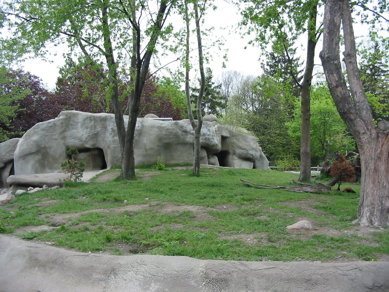 Detroit Zoo 2003 - Wolverine exhibit