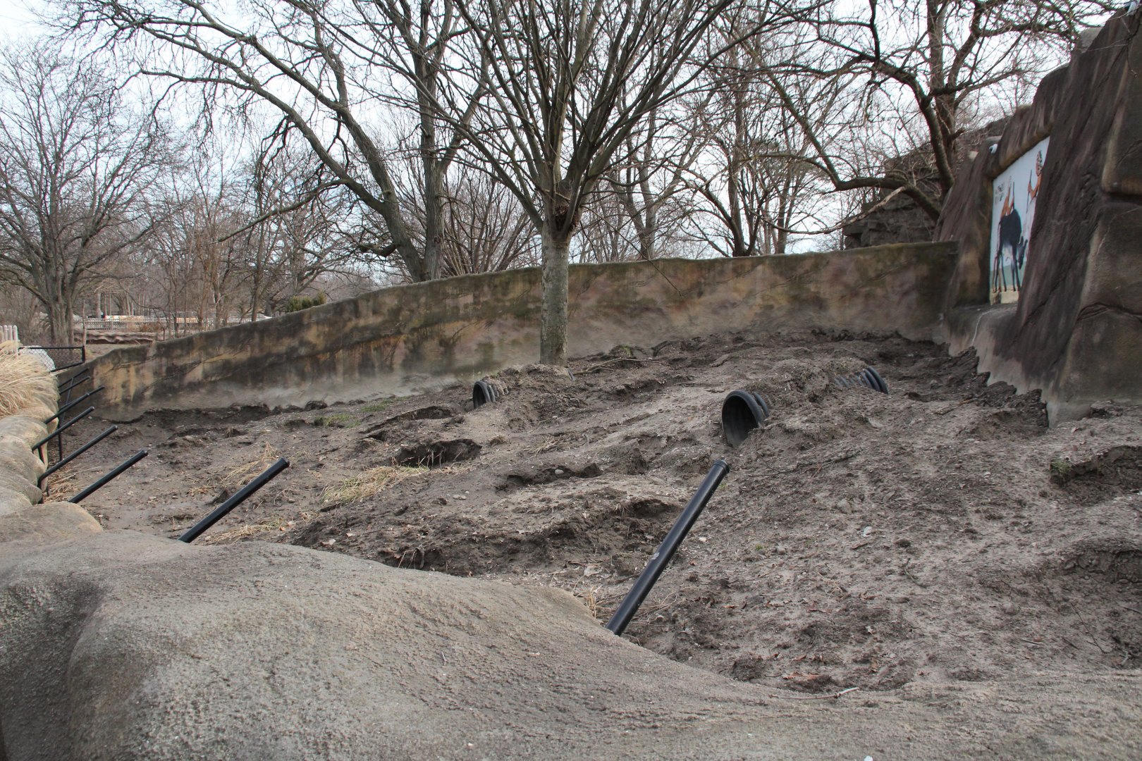 Detroit Zoo - Aardvark exhibit