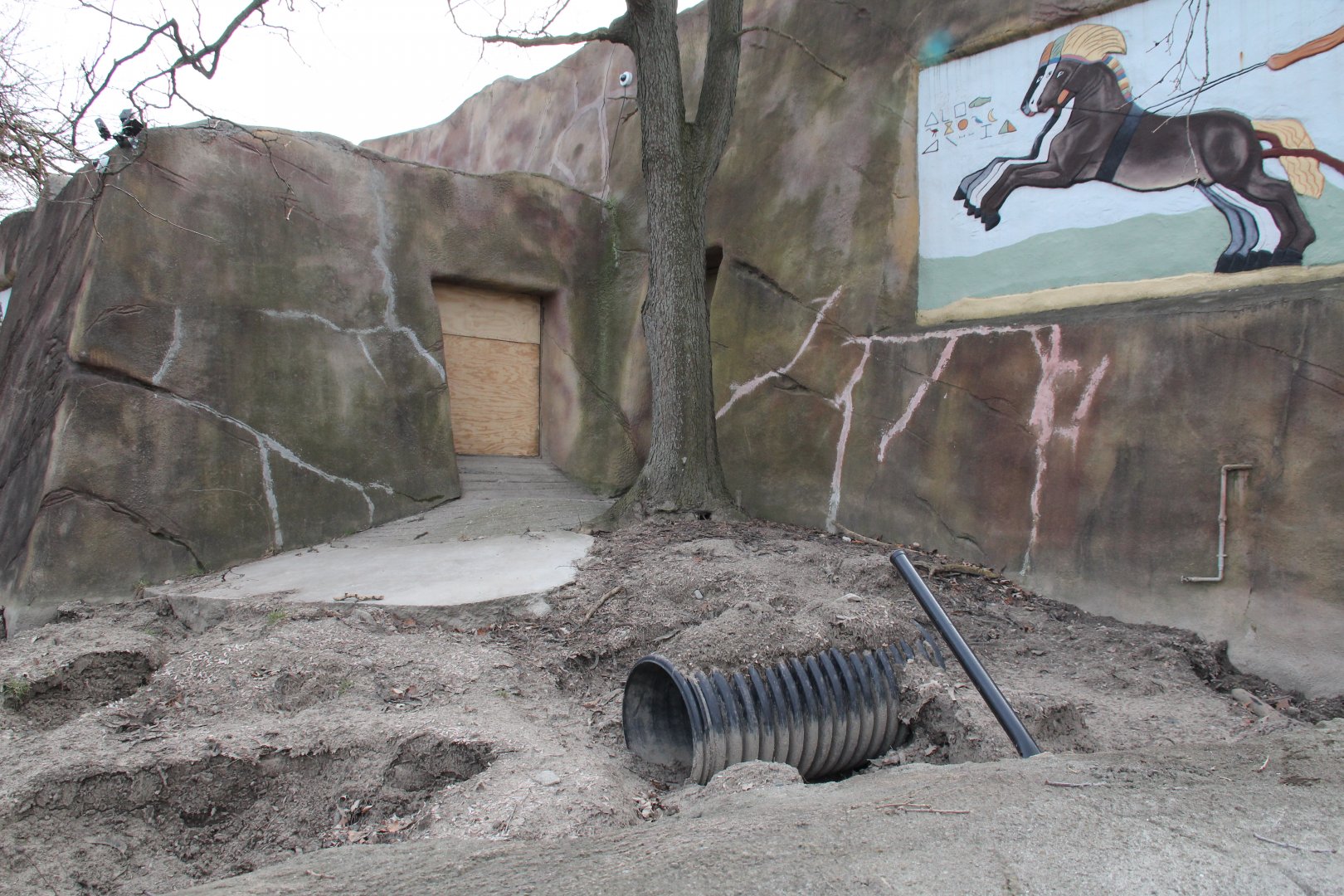 Detroit Zoo - Aardvark exhibit