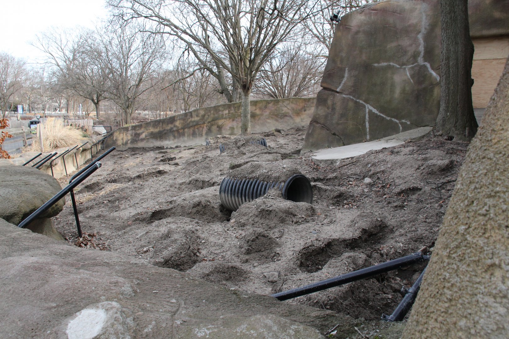 Detroit Zoo - Aardvark exhibit