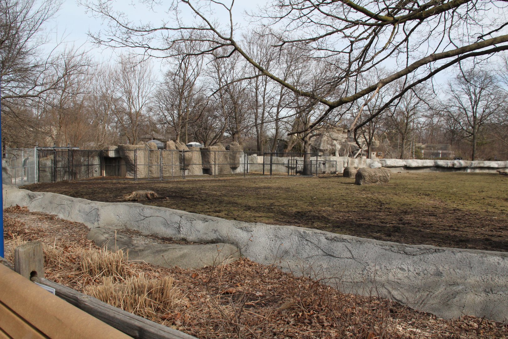 Detroit Zoo - African Grassland